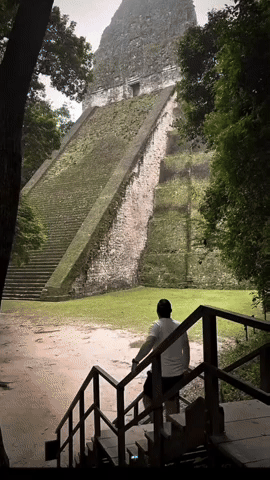 Guatemala Chapin GIF