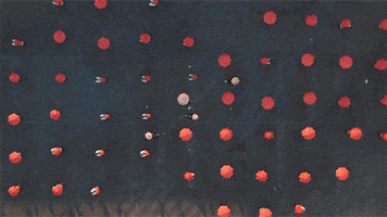 honda unicycle GIF by Digg