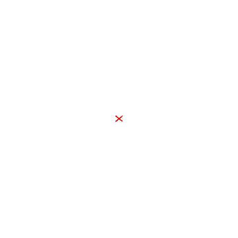 TEDxBlumenau Sticker