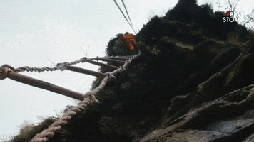 honey hunt GIF by Great Big Story