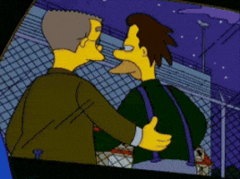 The Simpsons Ok GIF by slicedbread