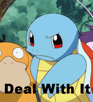 pokemon deal with it GIF