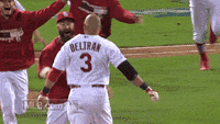 St-louis-cardinals GIFs - Get the best GIF on GIPHY