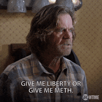 season 7 give me liberty or give me death GIF by Shameless