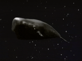 The Hitchhikers Guide To The Galaxy Whale GIF by Harborne Web Design Ltd