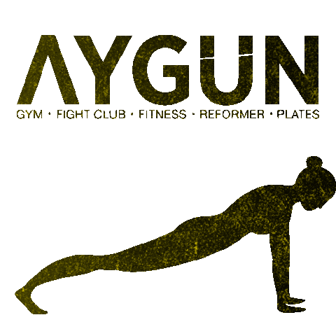 aygungym Sticker