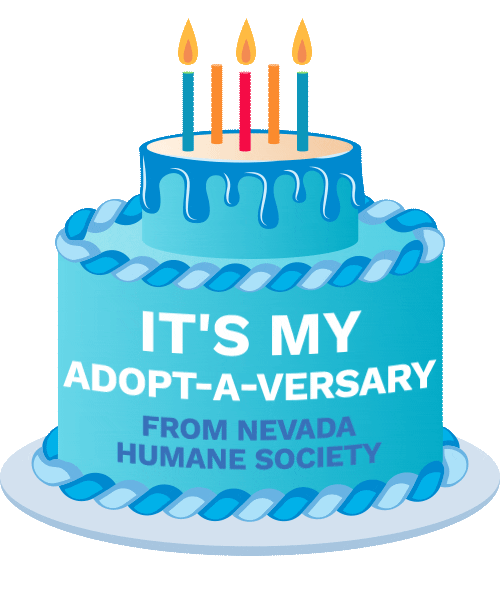 Adopt Happy Birthday Sticker by Nevada Humane Society