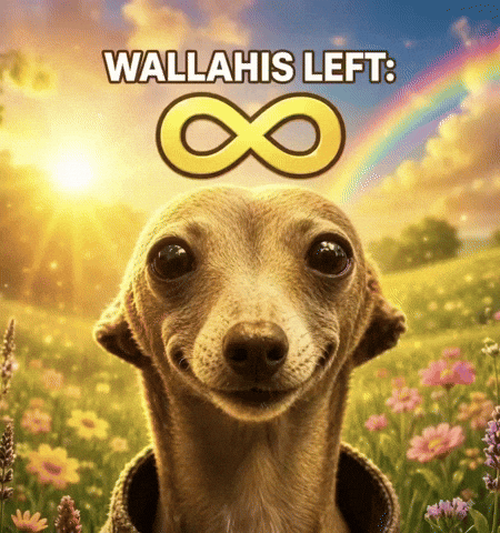 Dog Wallahi GIF