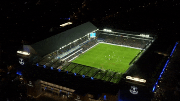 Premier League Soccer GIF by Everton Football Club