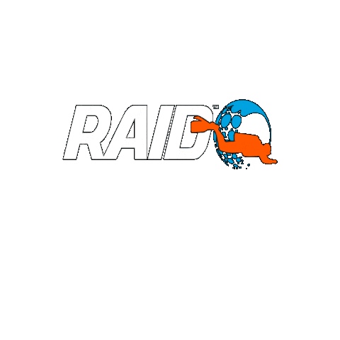 Raid Sticker by DiveRAID