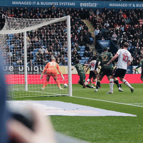 Goal Celebrations GIF by Bolton Wanderers FC