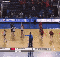 Volleyball Celebrate GIF by TIY PRODUCTS