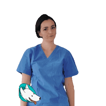 amicaveterinaria Sticker