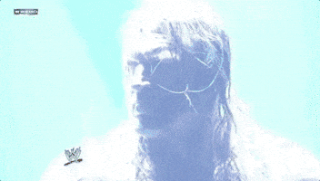 Triple H Wrestling GIF by WWE