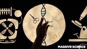 stop motion paper GIF by Massive Science
