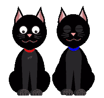 Happy Black Cats Sticker by BlackCatVideo