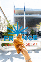 Expo2020 Croissant GIF by France Dubaï 2020