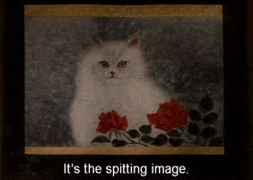 200.gif?cid=fc005b088ac52e5d756fa387a85dfb83e903b3216c4c0a4e&rid=200.gif&ct=g