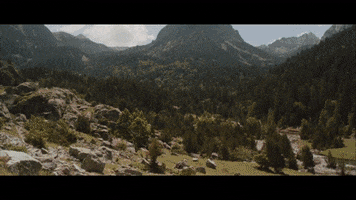 200.gif?cid=fc005b0825521aa5807ebfe252dc1513672b8323462da071&rid=200.gif&ct=g