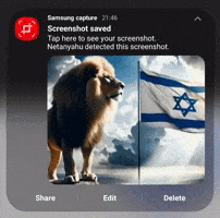 Lion Who Is He GIF