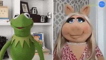 Happy The Muppets GIF by BuzzFeed