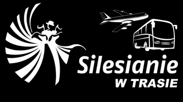 Sil001 GIF by Silesianie