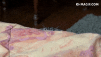 200w.gif