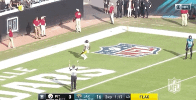 2018 Nfl Thank You GIF by NFL