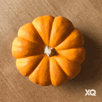 You Are The Best Eating GIF by XQ