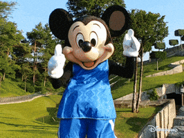 excited world cup GIF by Disneyland Paris