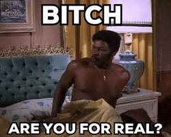 Are You For Real Human Tornado GIF by ShockStock