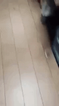 kellyhunter floppy disk GIF