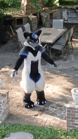 Armiegen GIF
