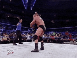 brock lesnar sport GIF by WWE