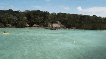 lagoon dron view GIF
