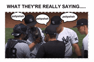 Baseball GIF