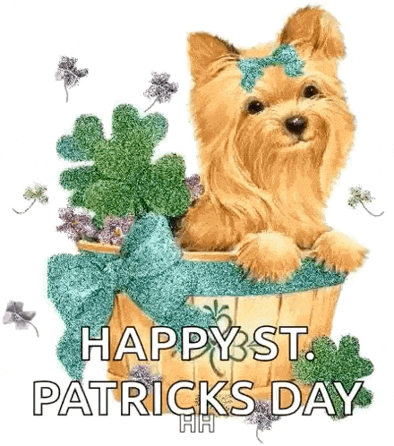 St Patricks Day GIF