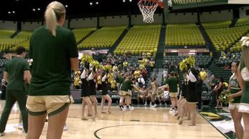 marchontribe tribewbb GIF by William & Mary Tribe Athletics