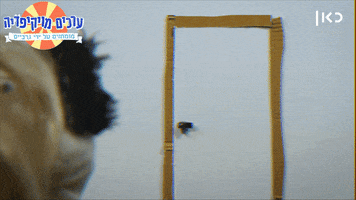 Socks Wikisocks GIF by Garbaim