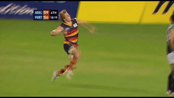 Afl Memories GIF by Adelaide Crows
