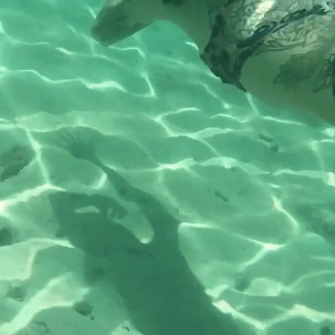 bbrunx hannah #pixie #snowdon #hannahsnowdon GIF