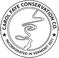 Amazon Peru Sticker by Thom Fuewellery