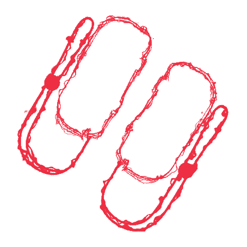 Nintendo Matt Sticker