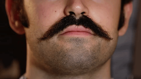 Moustache GIF by Ediz Anavi - Find & Share on GIPHY