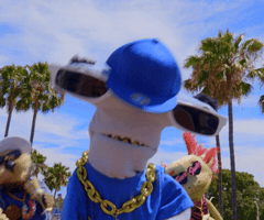 Shark Week Dance GIF by Aquarium of the Pacific
