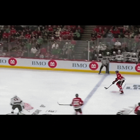 Nhl Blackhawks GIF