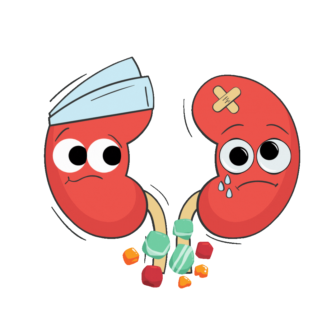 Nefrologia GIFs on GIPHY - Be Animated, image size:1080x1080