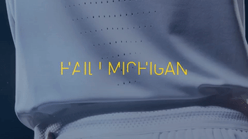 GIF by Michigan Athletics