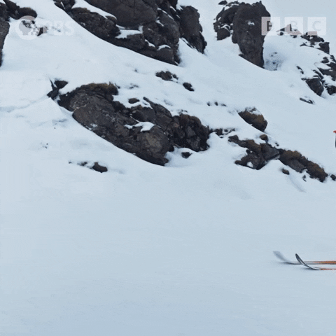 Winter Sports Snow GIF by PBS