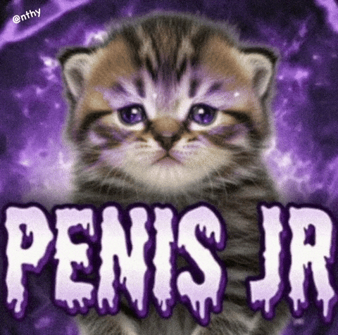 Purple Cat GIF